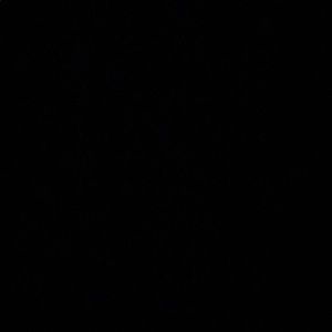 Meet your Posher, Areana